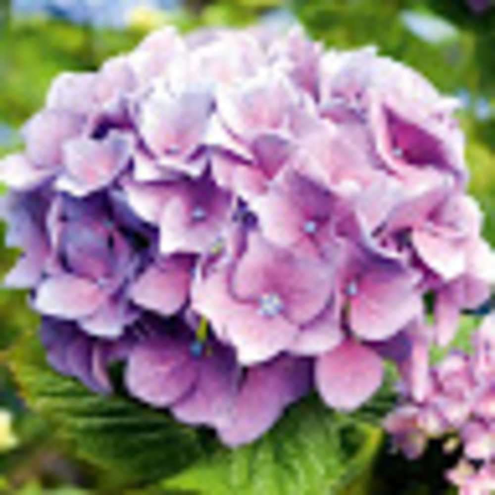 Meet your Posher, Tioluwa